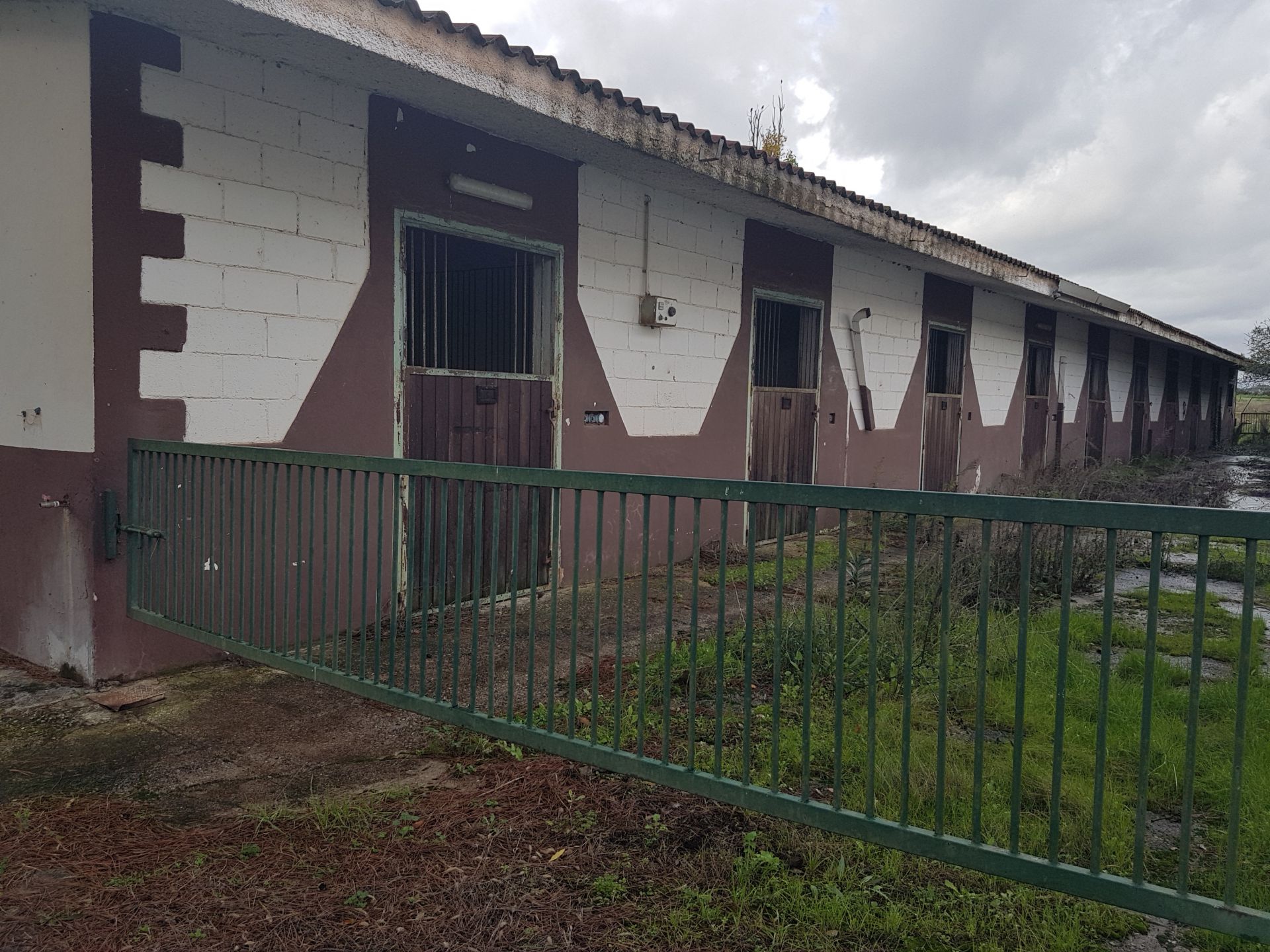 Vendita Terreno Agricolo Cisterna di Latina