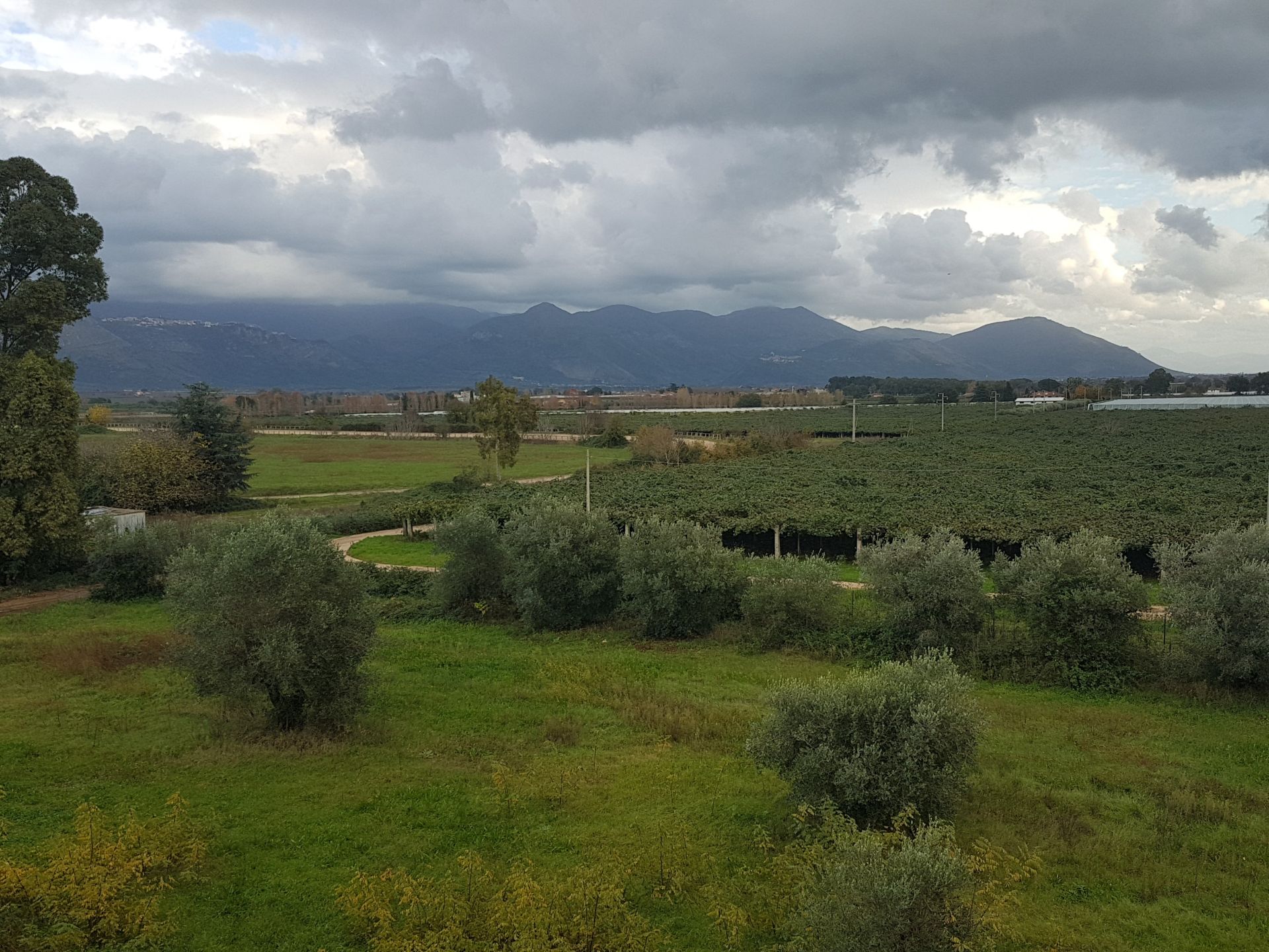 Vendita Terreno Agricolo Cisterna di Latina