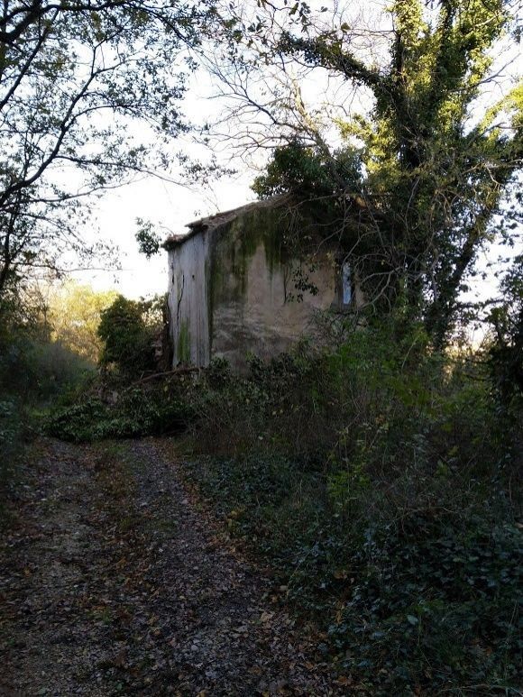 Terreno Agricolo Albanella 