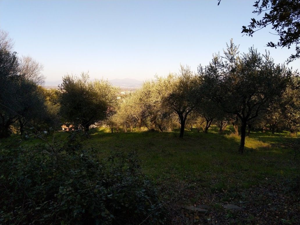 Vendita Terreno Agricolo Albanella