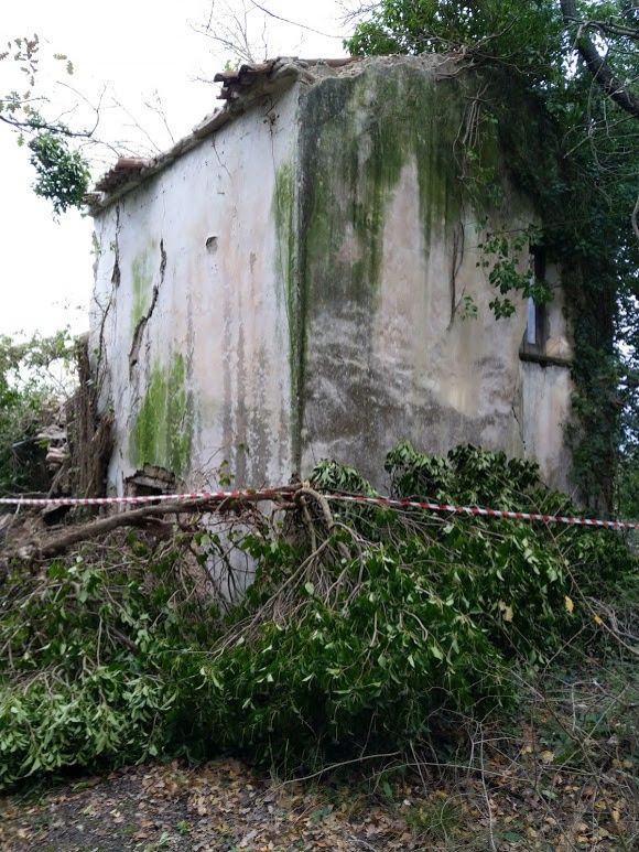 Terreno Agricolo Albanella 