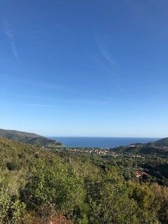 Terreno Agricolo Campo nell'Elba 