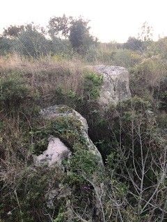 Terreno Agricolo Campo nell'Elba 