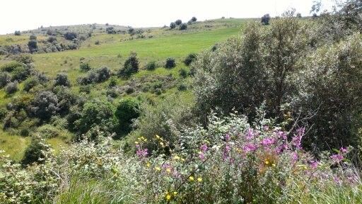 Vendita Terreno Agricolo Sortino