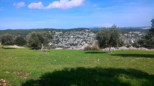 Terreno Agricolo Sortino 