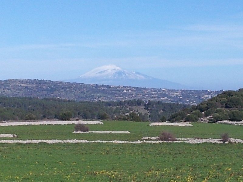 Vendita Terreno Agricolo Sortino