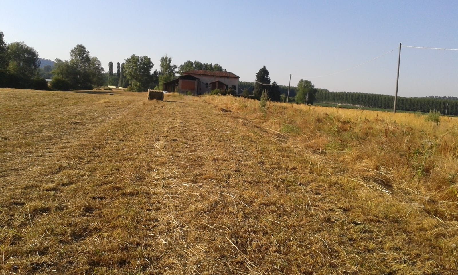 Terreno Agricolo Strevi 