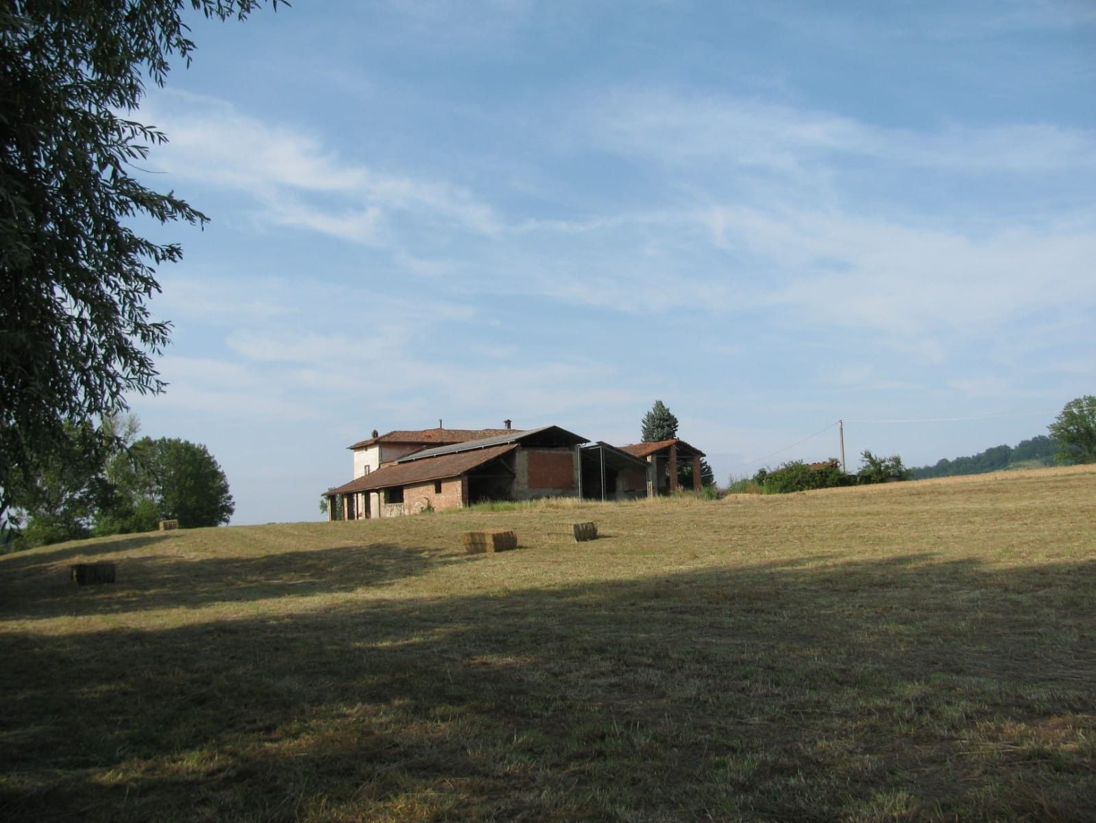 Terreno Agricolo Strevi 