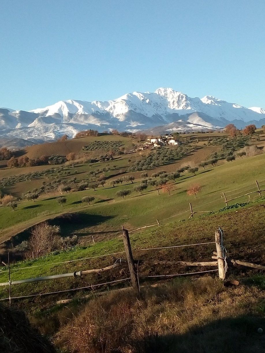 Terreno Agricolo Penne 