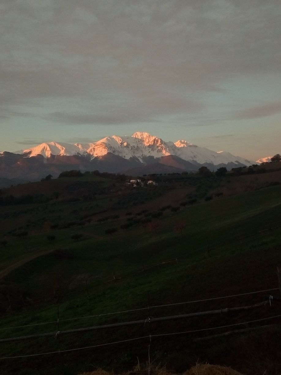 Terreno Agricolo Penne 