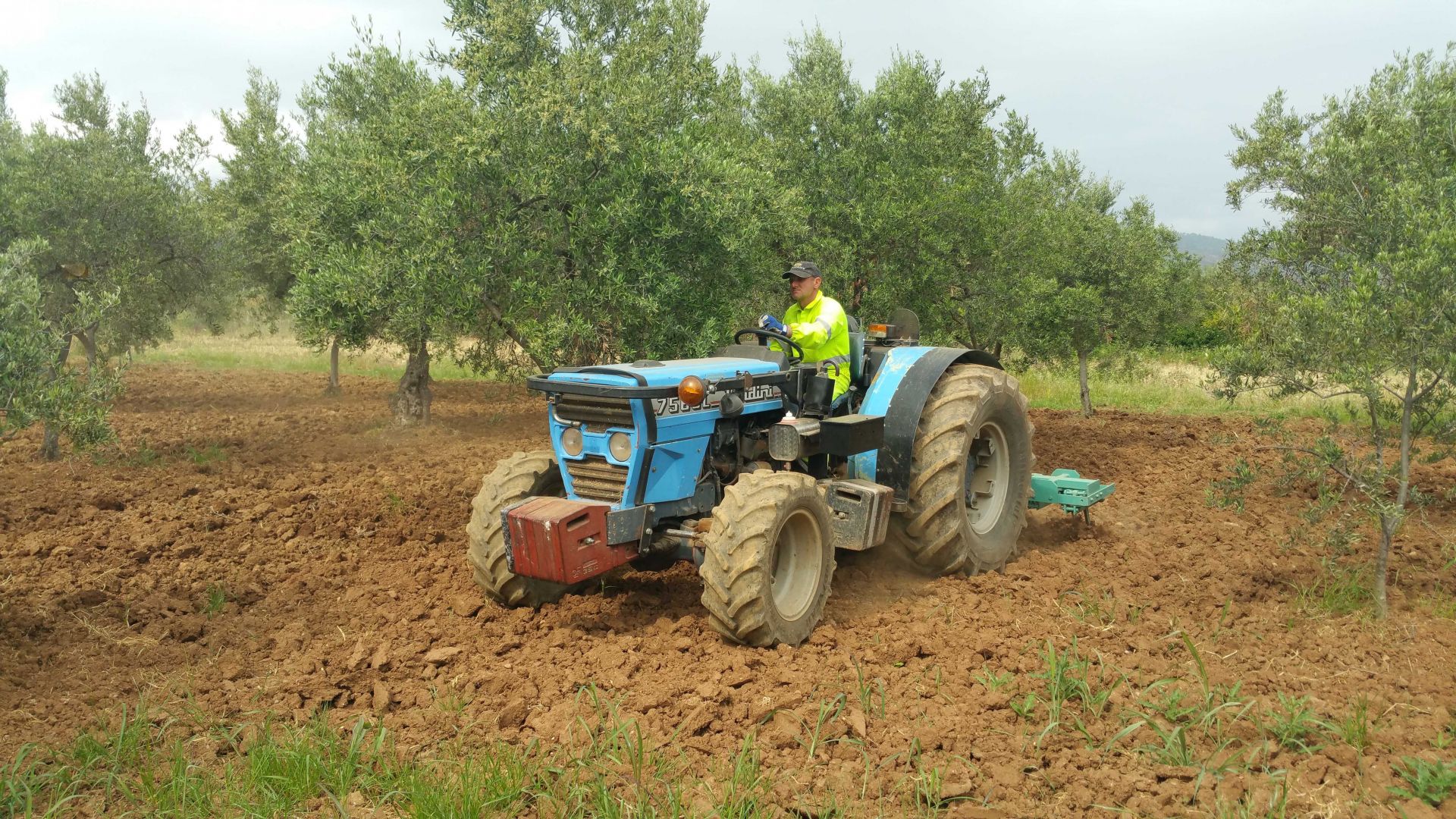 Terreno Agricolo Castrovillari 