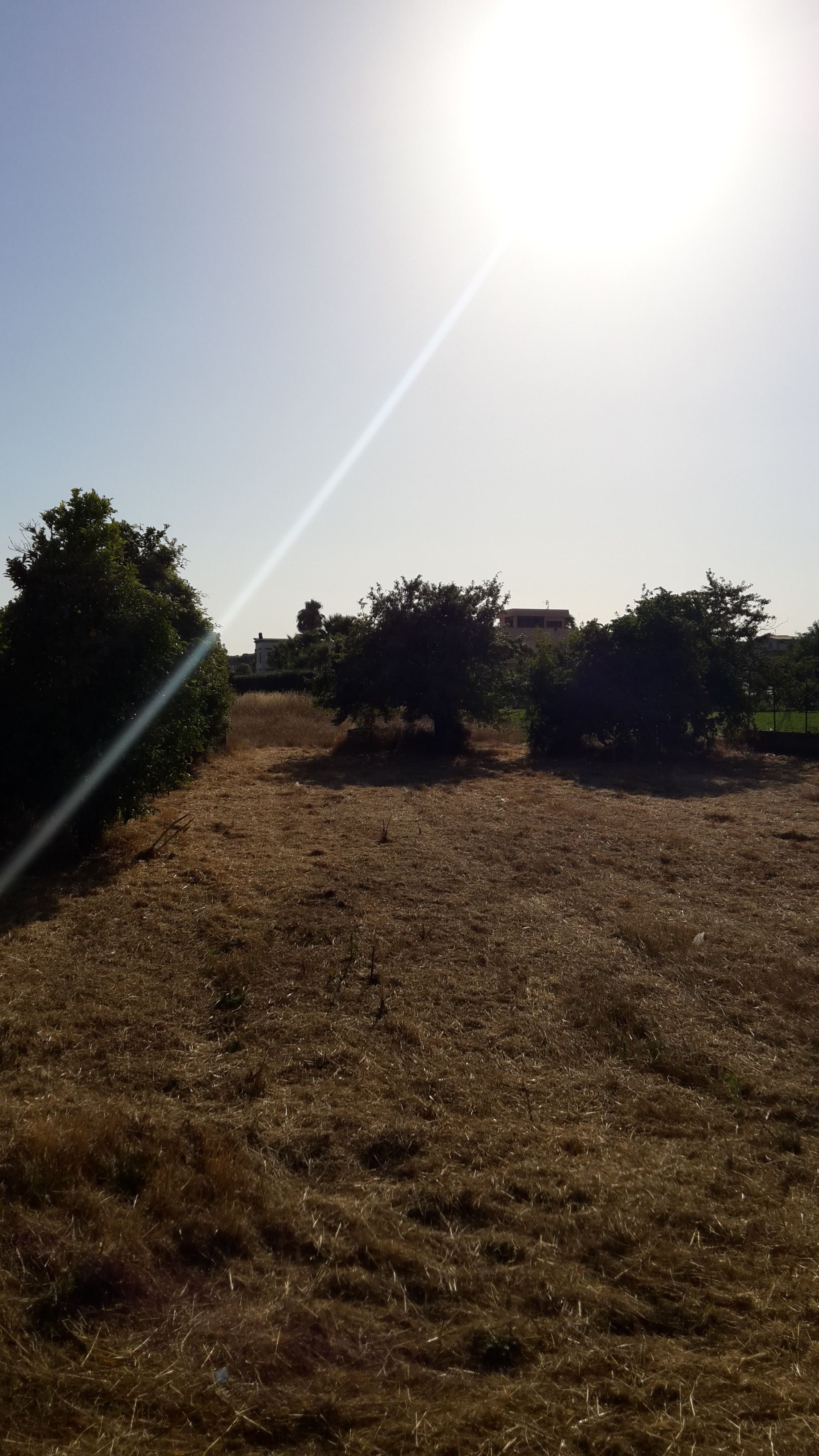 Terreno Agricolo Pompei 