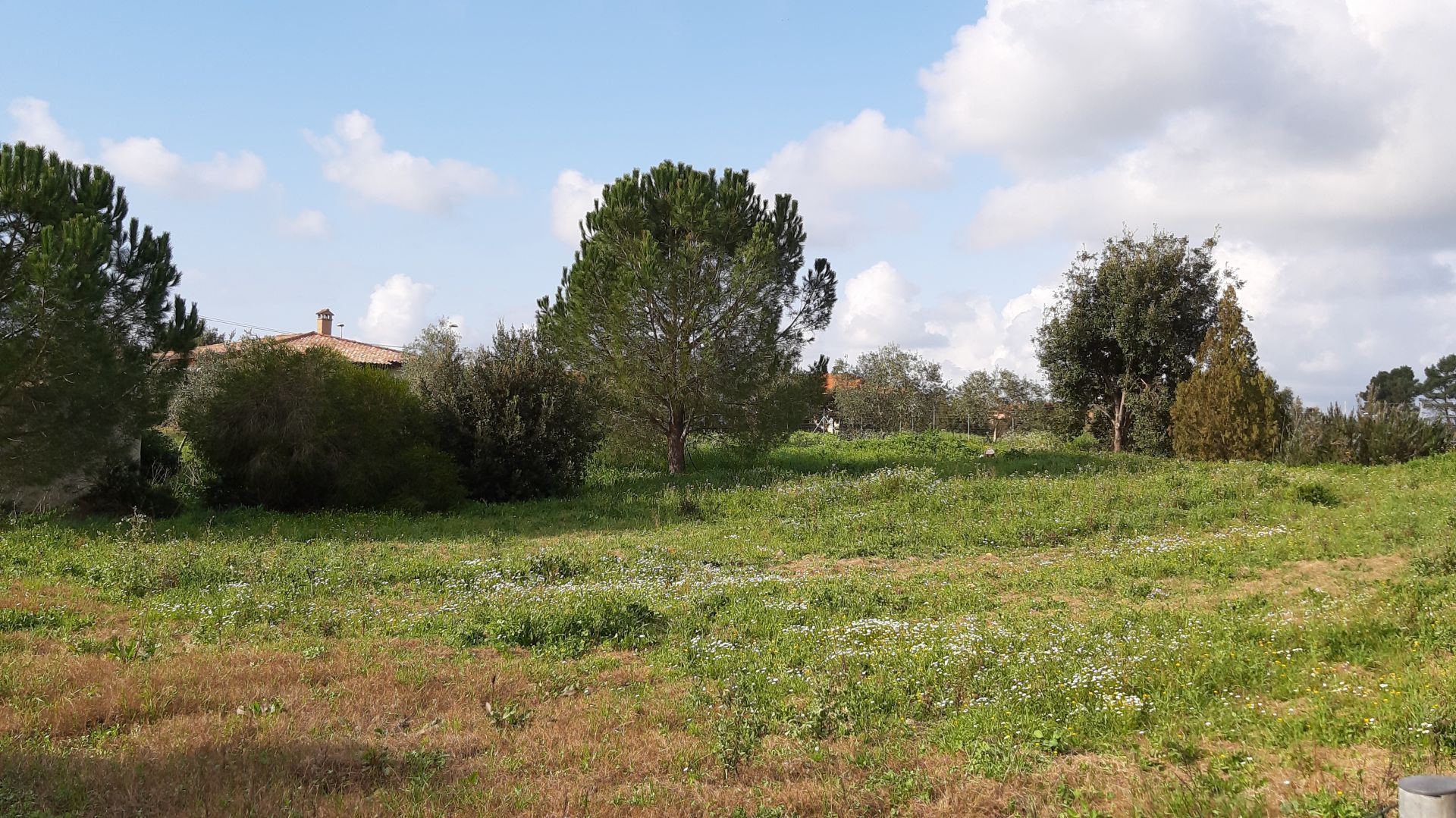 Terreno Residenziale Palmas Arborea 