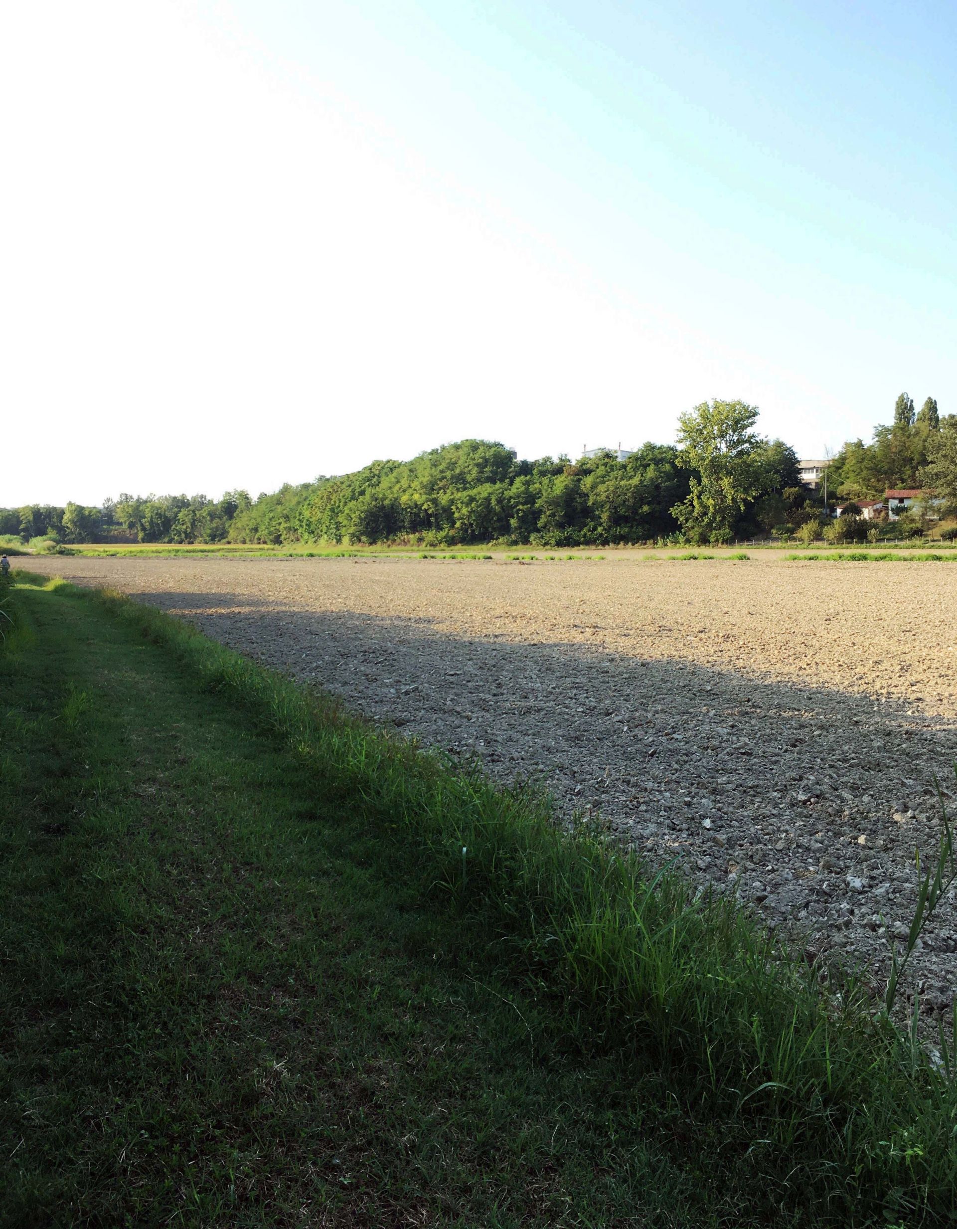 Terreno Agricolo Felizzano 