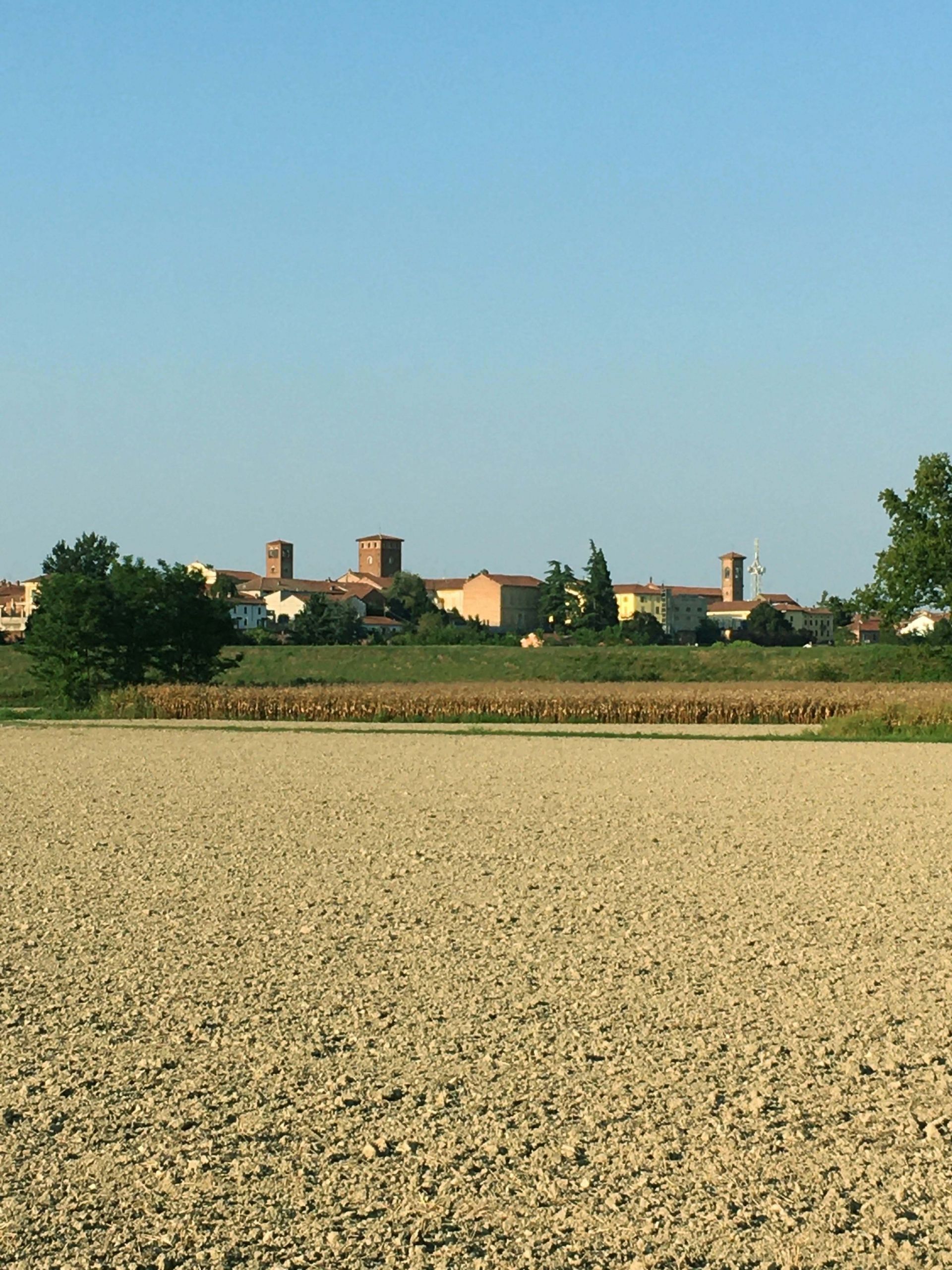 Vendita Terreno Agricolo Felizzano