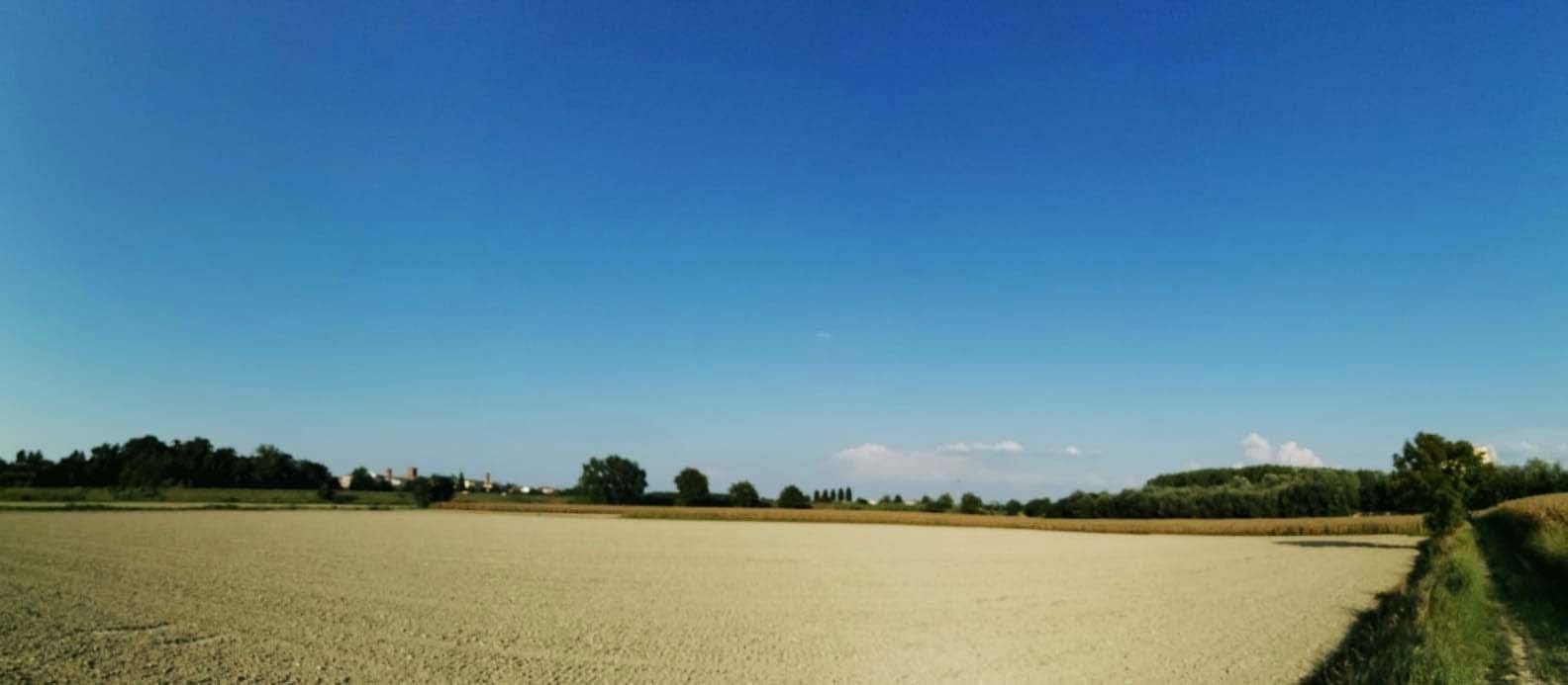 Vendita Terreno Agricolo Felizzano