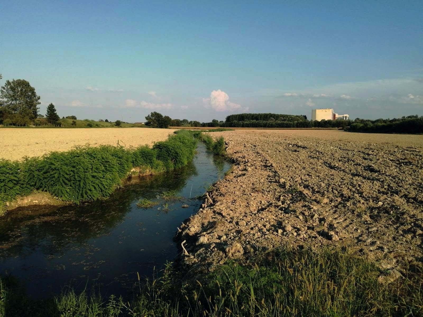 Vendita Terreno Agricolo Felizzano