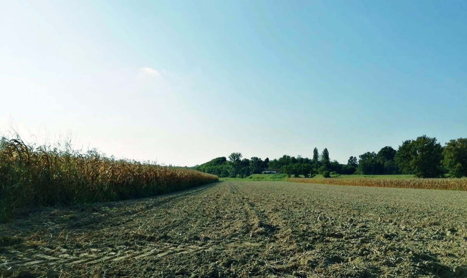 Terreno Agricolo Felizzano 