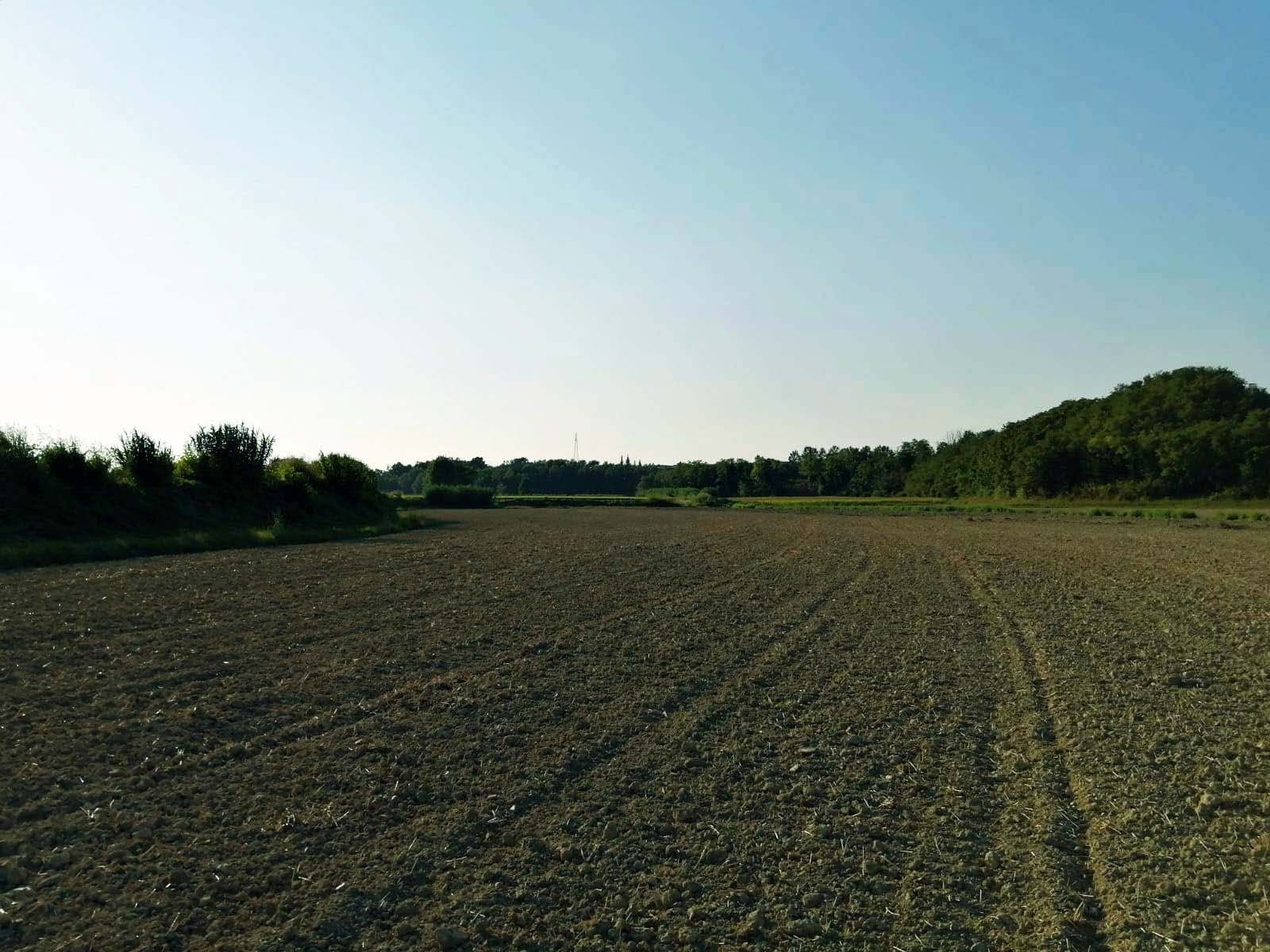 Vendita Terreno Agricolo Felizzano