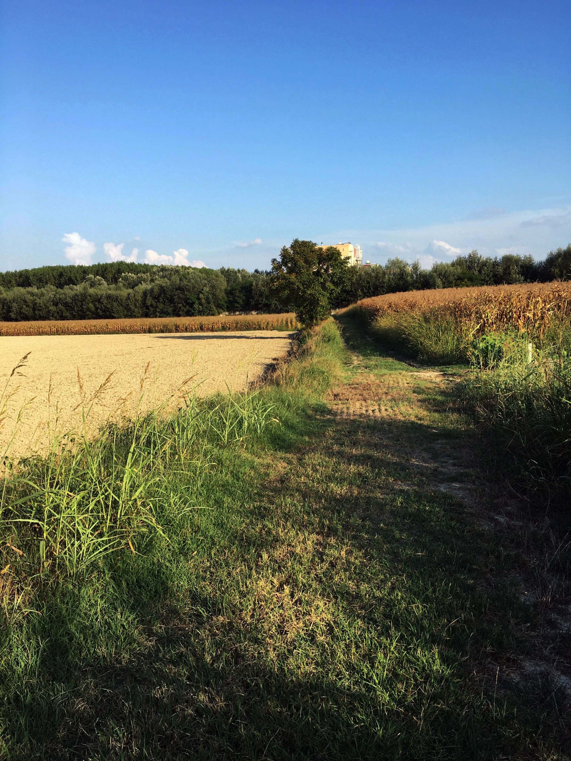 Vendita Terreno Agricolo Felizzano