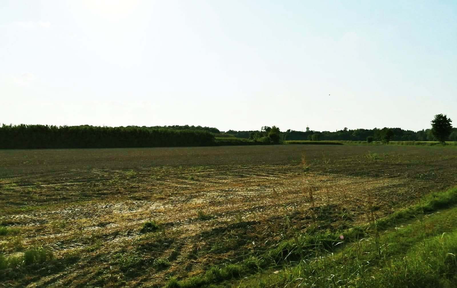 Vendita Terreno Agricolo Felizzano