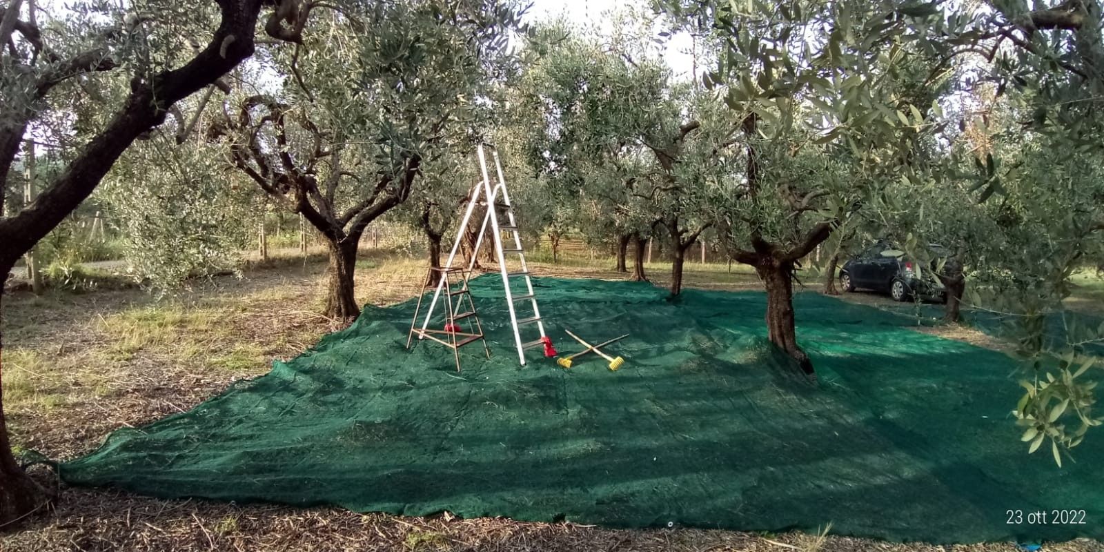 Vendita Terreno Agricolo San Cesareo