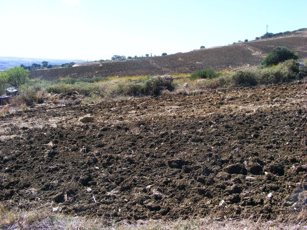 Terreno Agricolo Valderice 