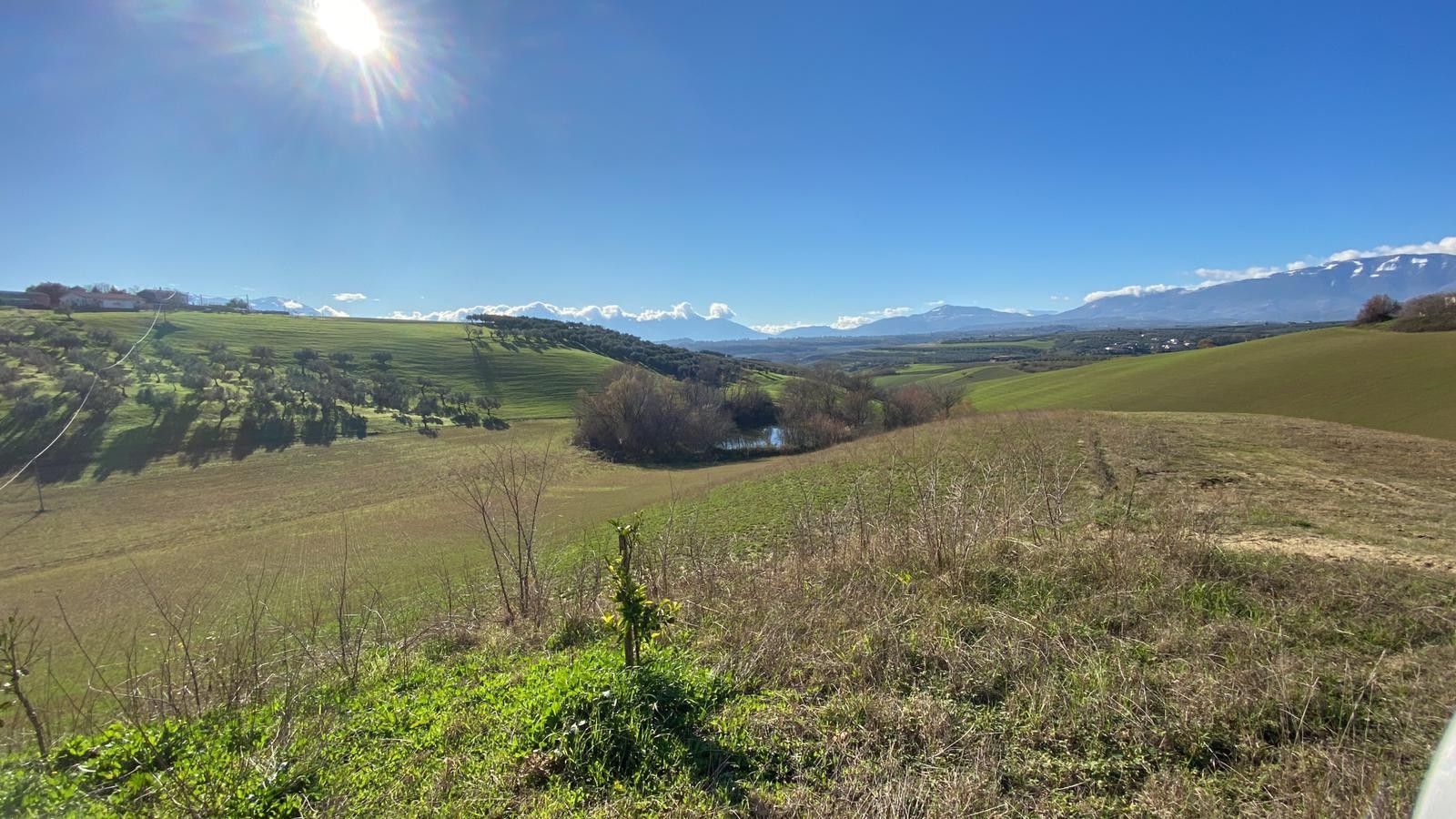 Vendita Terreno Agricolo Pianella