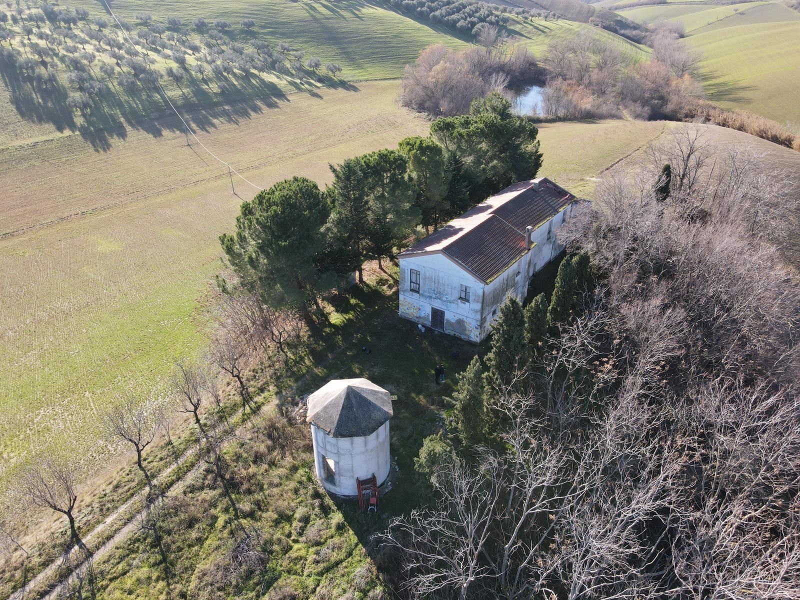 Vendita Terreno Agricolo Pianella