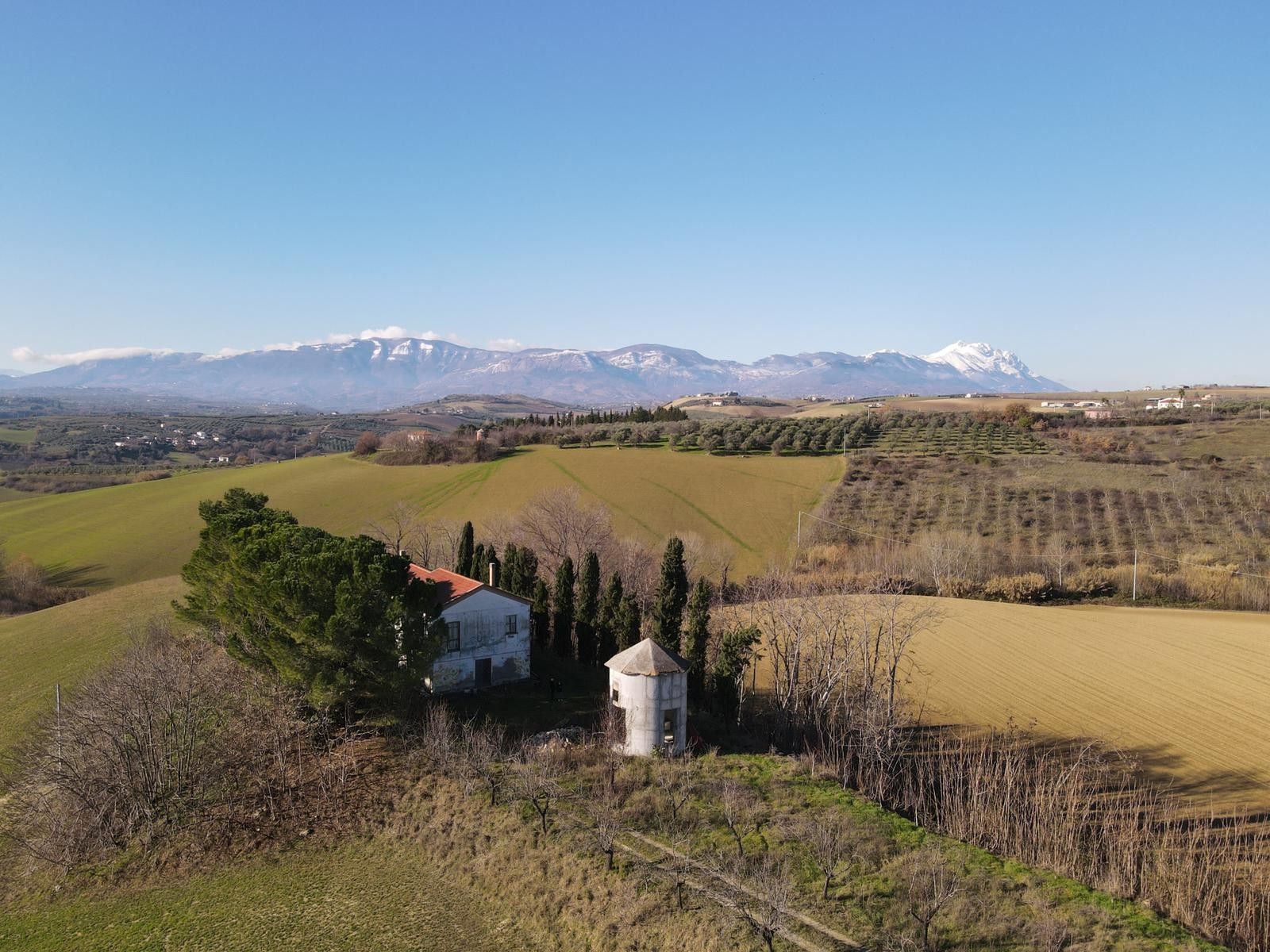 Vendita Terreno Agricolo Pianella