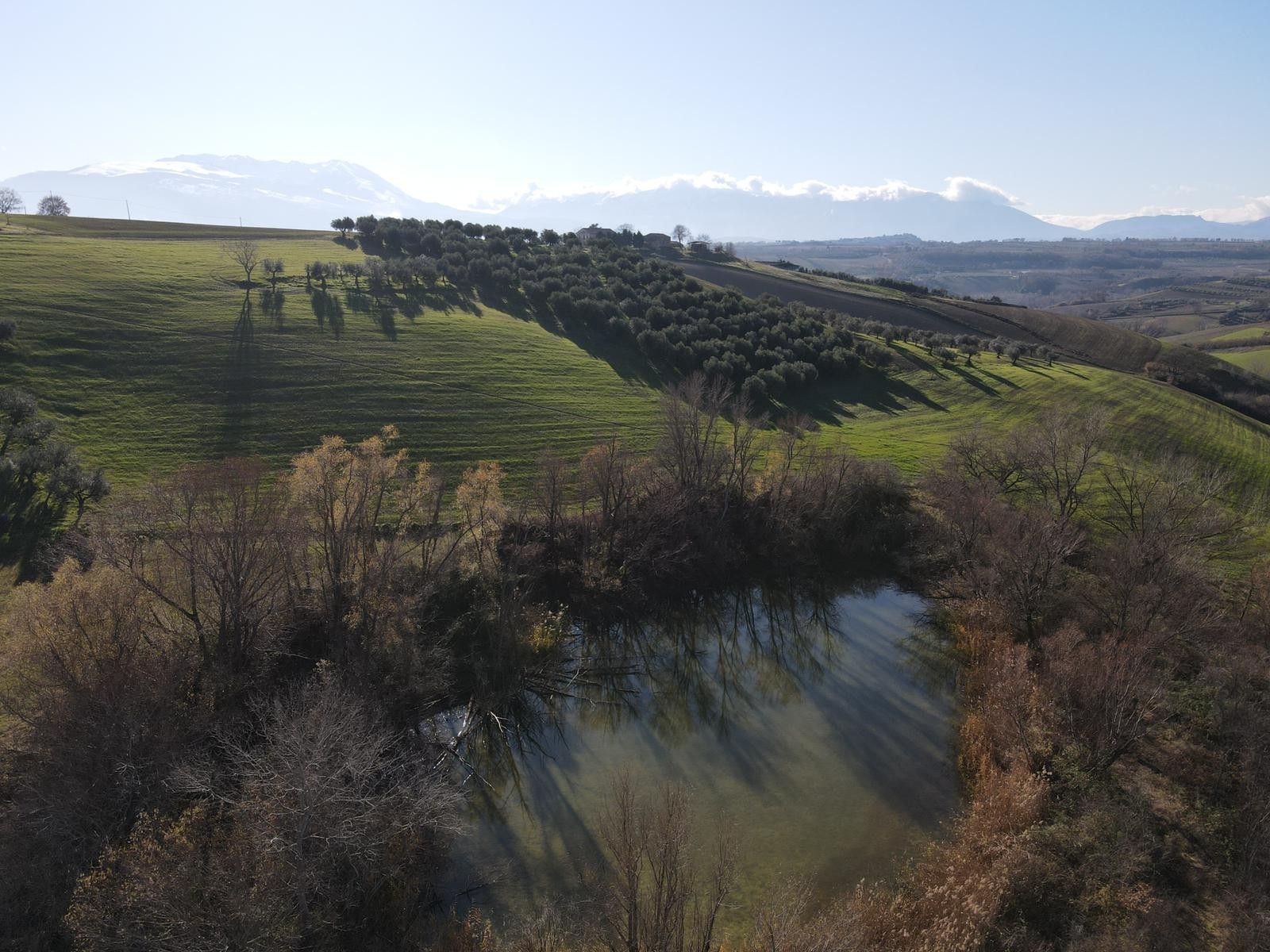 Terreno Agricolo Pianella 