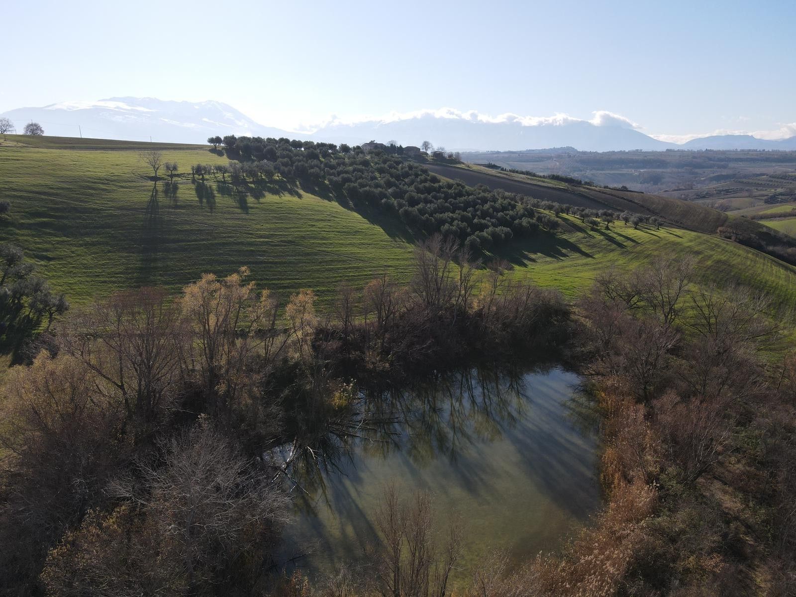 Vendita Terreno Agricolo Pianella