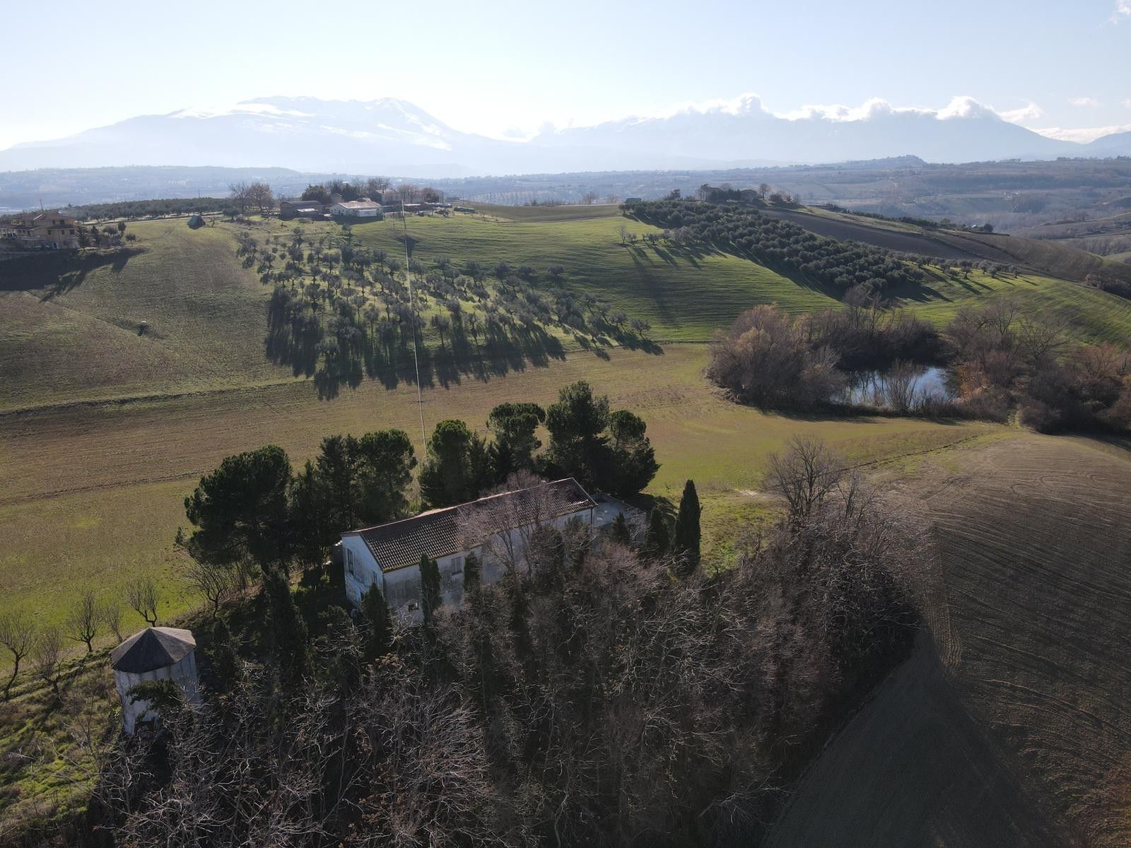 Vendita Terreno Agricolo Pianella