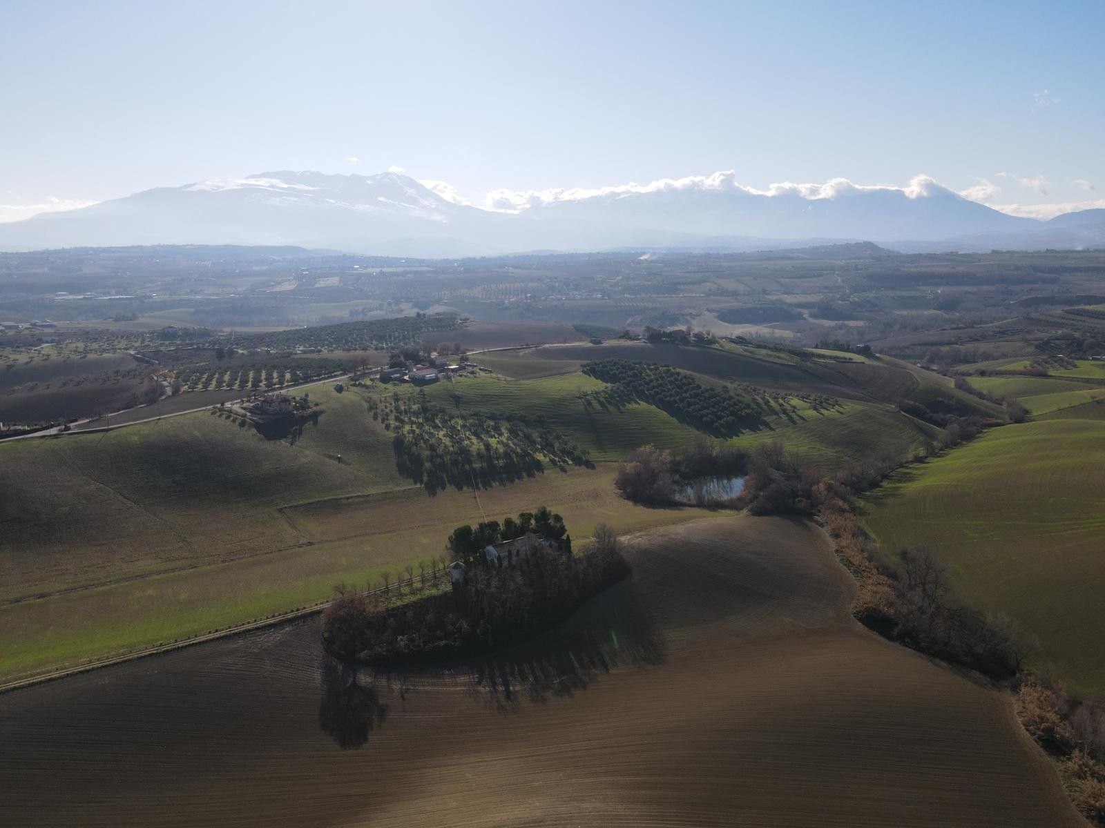 Vendita Terreno Agricolo Pianella