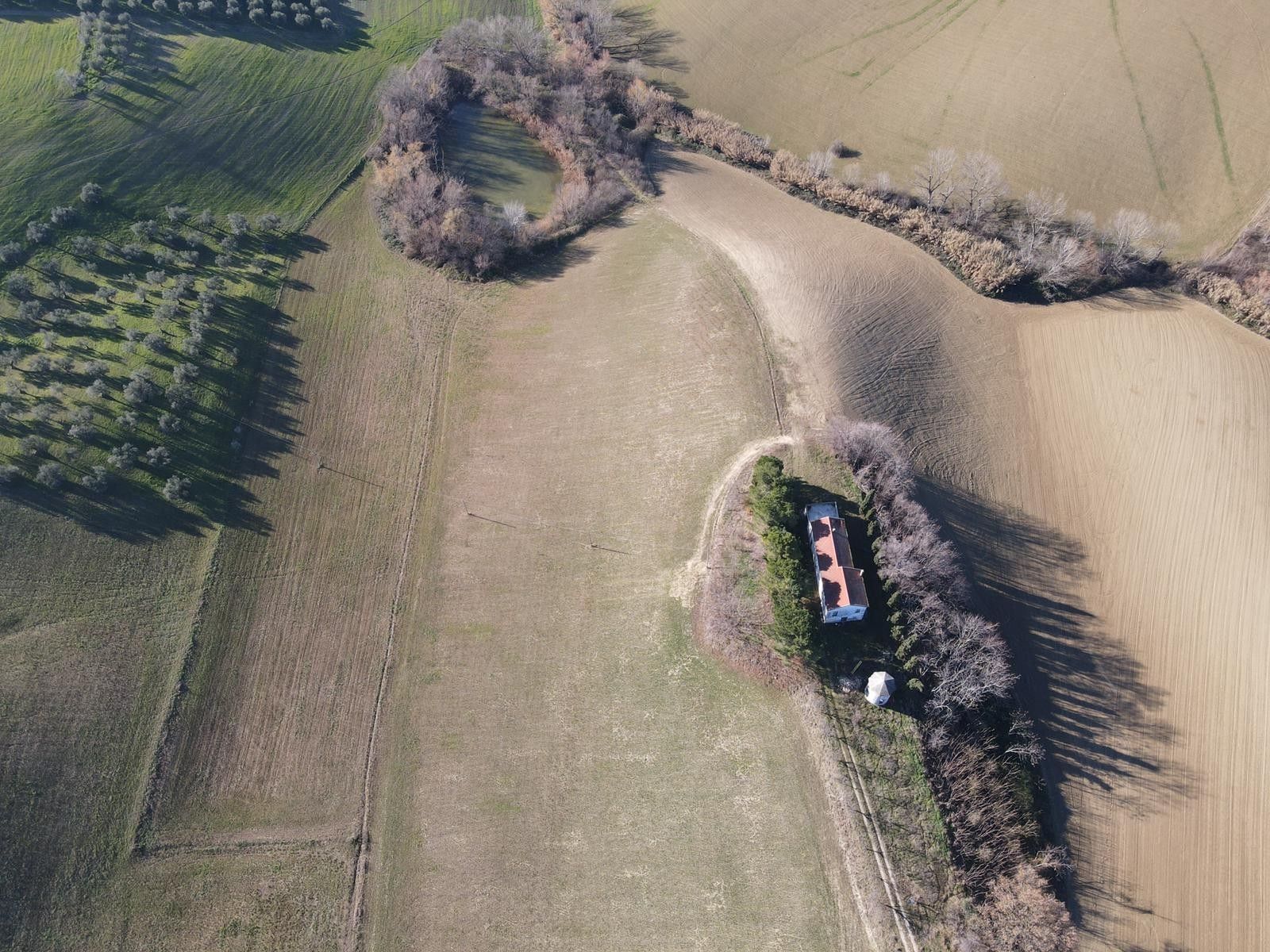 Vendita Terreno Agricolo Pianella