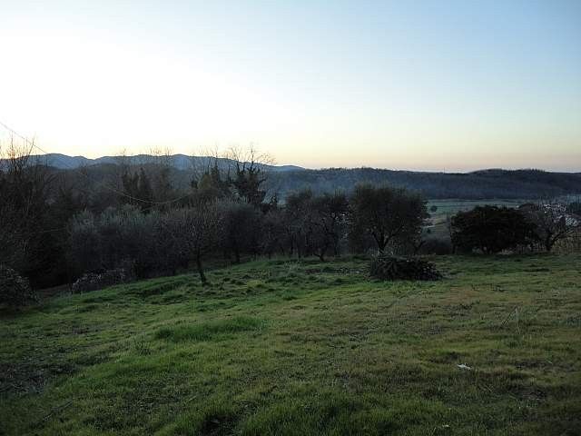 Vendita Terreno edificabile Fauglia