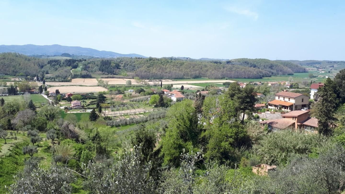 Vendita Terreno edificabile Fauglia