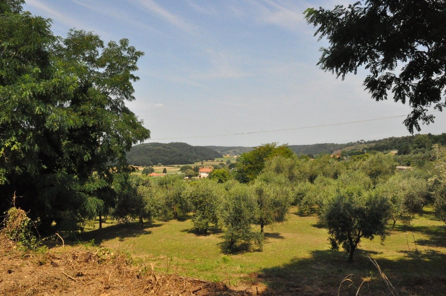 Vendita Terreno edificabile Fauglia