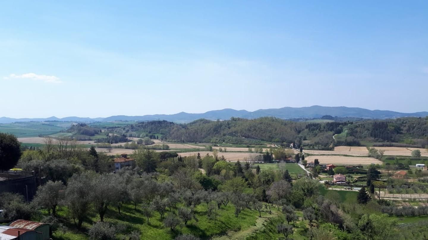 Vendita Terreno edificabile Fauglia