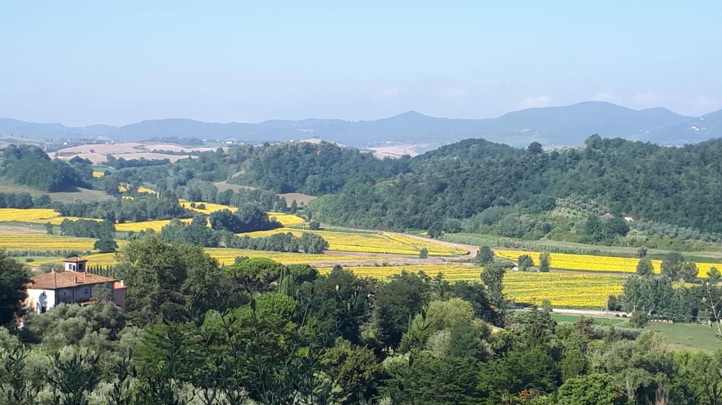 Vendita Terreno edificabile Fauglia