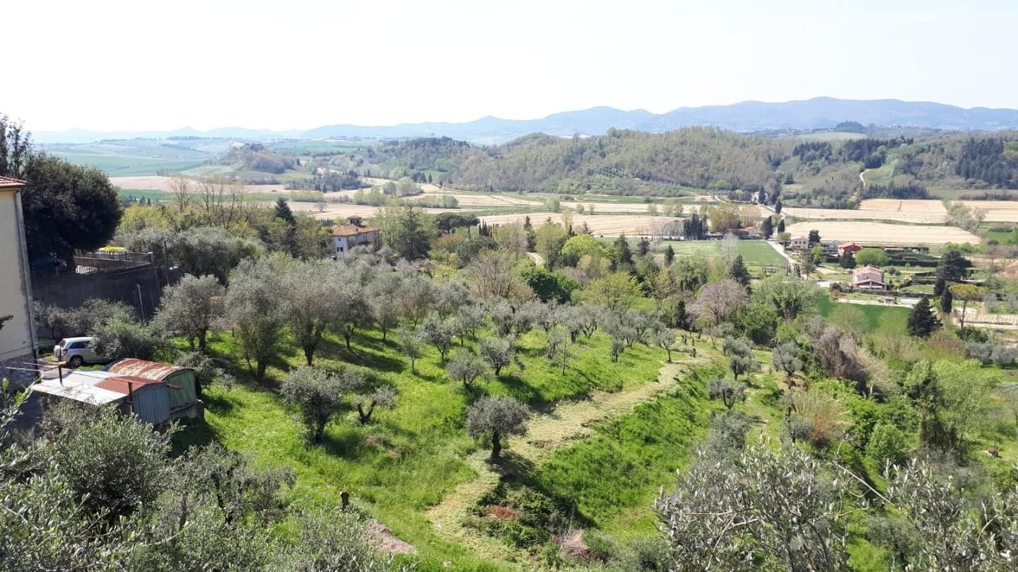 Altro Fauglia 