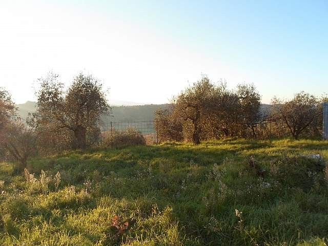 Vendita Terreno edificabile Fauglia