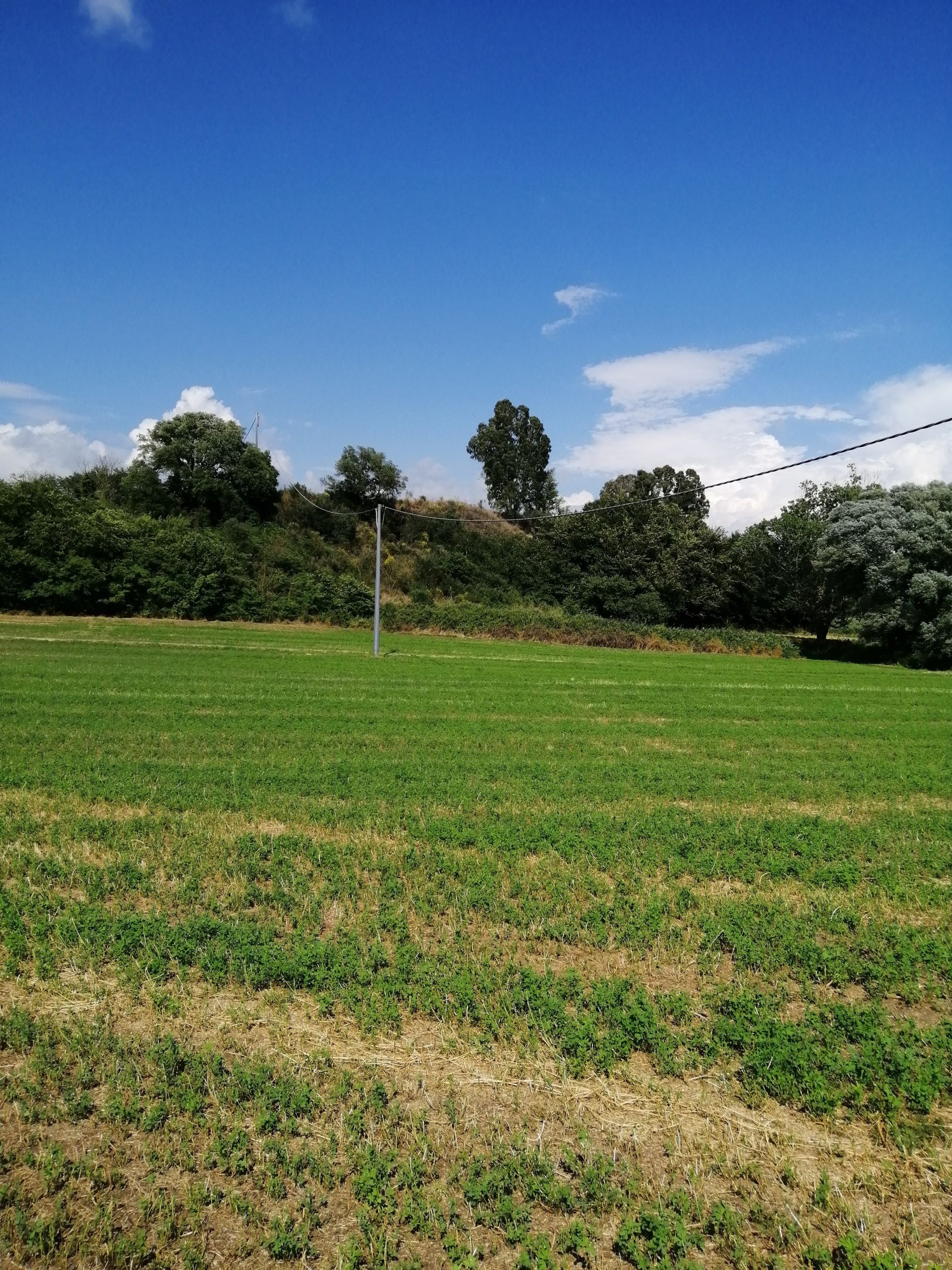 Terreno Agricolo Ardea 