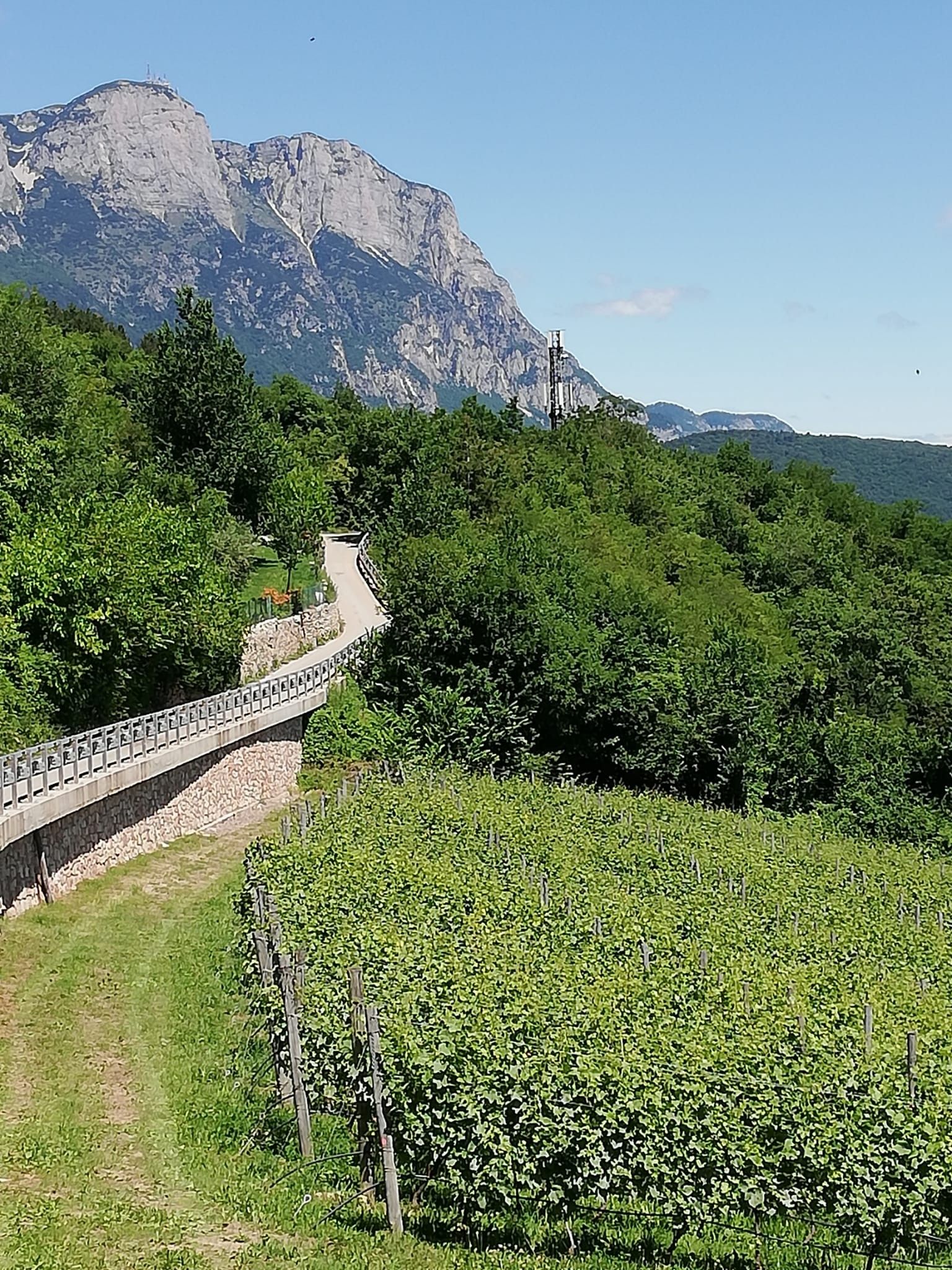 Terreno Agricolo Trento 