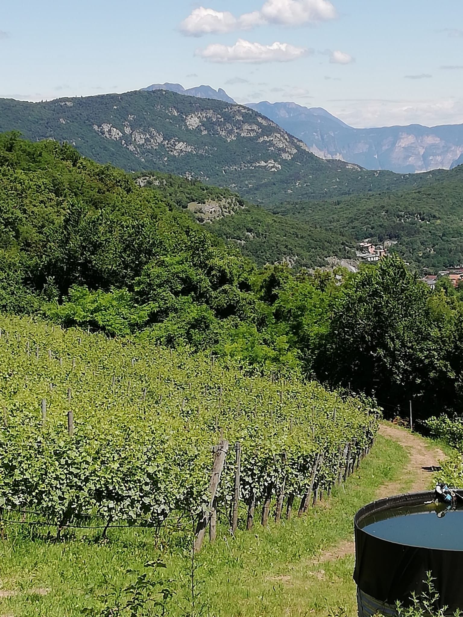 Terreno Agricolo Trento 