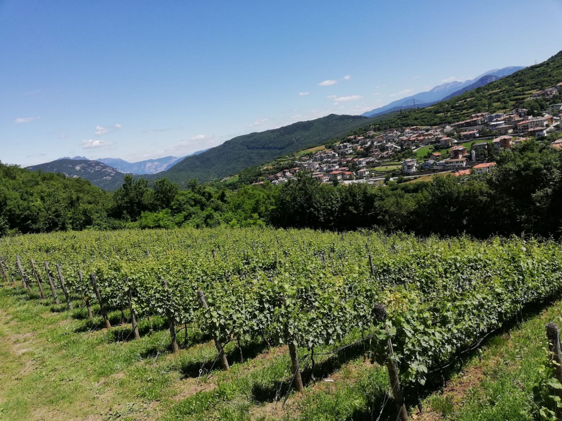 Terreno Agricolo Trento 