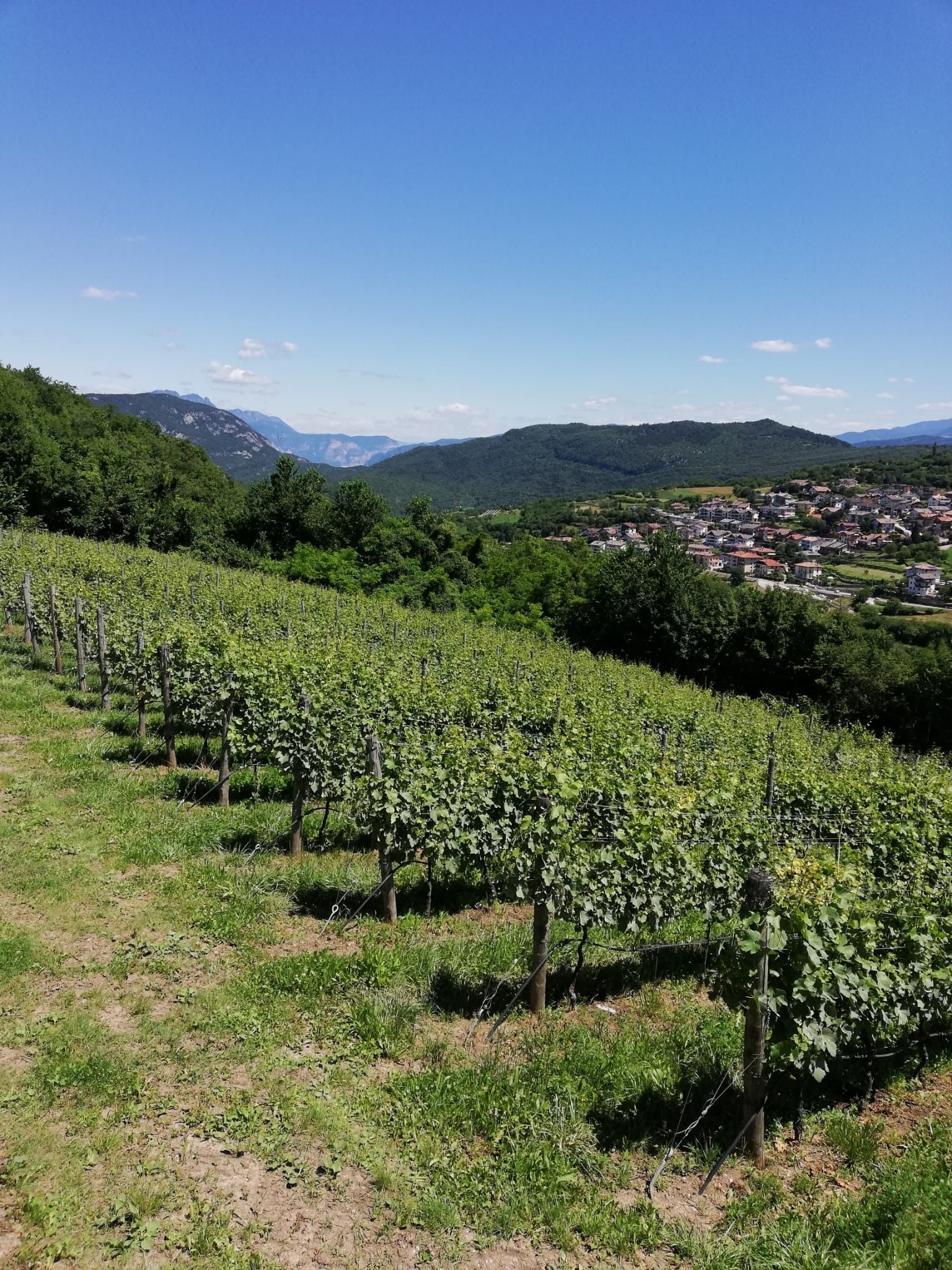 Terreno Agricolo Trento 