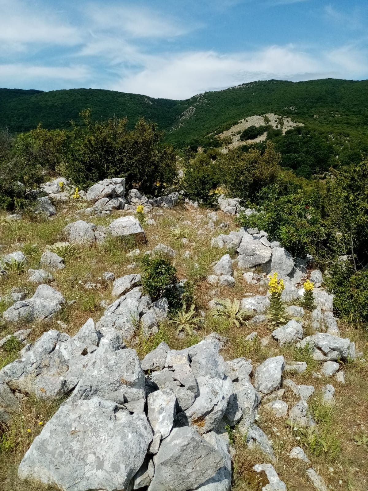 Terreno Agricolo Prata Sannita 