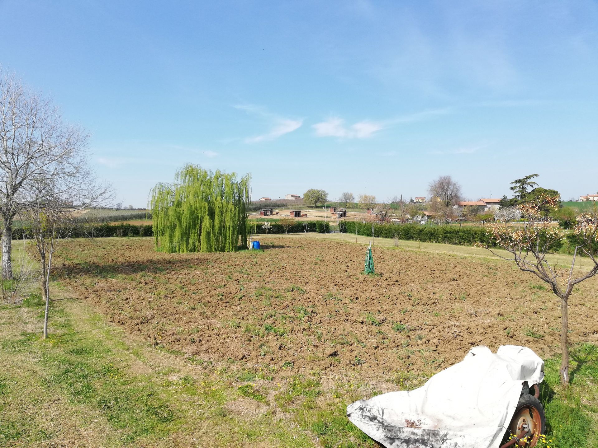 Terreno Agricolo Santarcangelo di Romagna 