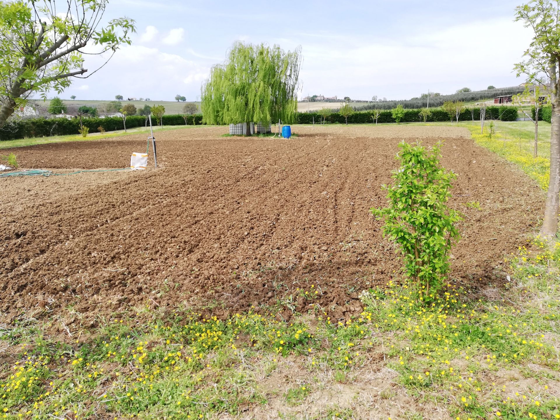 Terreno Agricolo Santarcangelo di Romagna 